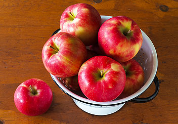 Honey Crisp