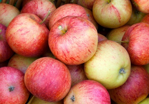 apples from an apple picking farm near the Quad Cities