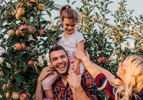 young couple in red flannel shirts picking apples with their young daughter