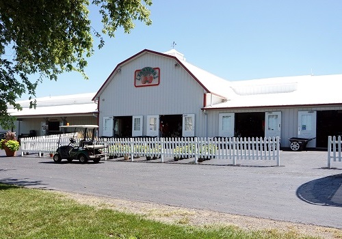 Tanner's Farm Market near Peoria IL