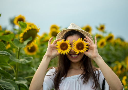 Girl Posing Beside a Sunflower Festival near Bettendorf IA