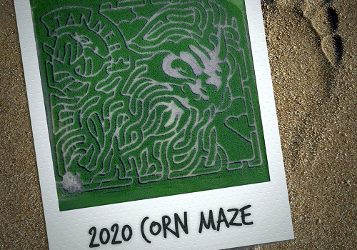 Polaroid Picture of 2020 Corn Maze. The maze is a designed in the shape of bigfoot, and the photograph rests on top of a footprint in the sand.