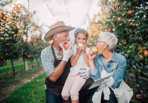 Apple Picking Moline IL