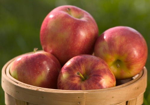 Apples from a Pumpkin Patch near the Quad Cities