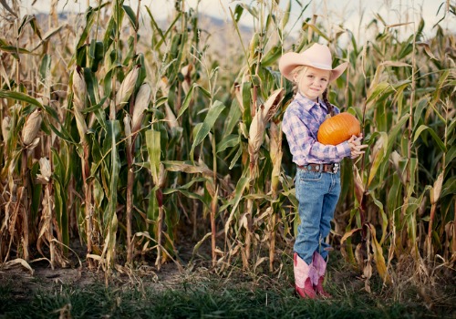 Girl in a cowgirl hat holds a pumpkin next to a corn maze in the Quad Cities