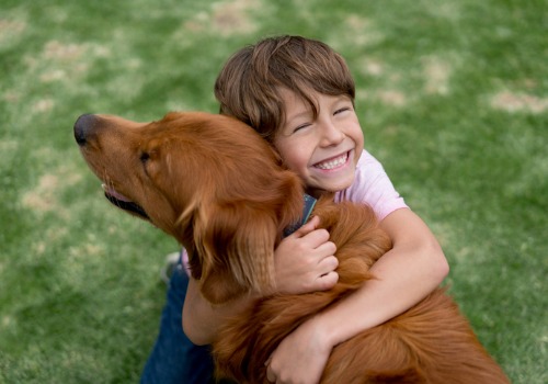 Boy hugs dog at Dog Adoption Day