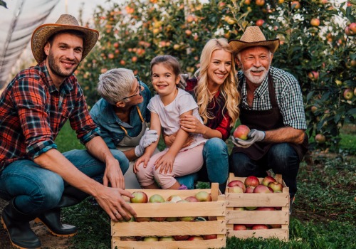 A family and kids enjoying apple picking together on a farm in Illinois
