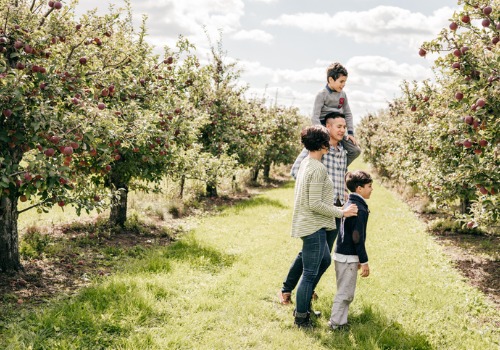 A family picks apples at Tanners Orchard, which is the place to go when searching for an apple farm in Decatur IL