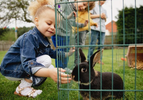 A small girl pets a bunny at Tanners Orchard, which is the place to go if you're looking for an apple farm in Decatur IL