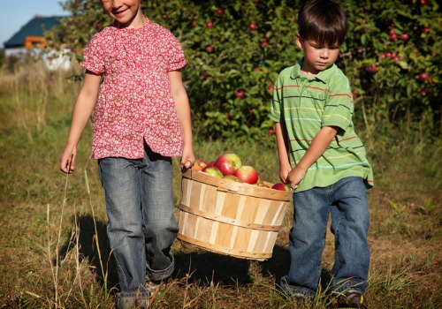 Siblings carry a basket of apples at Tanners Orchard, which is where to go if you're looking for family fun in Decatur IL