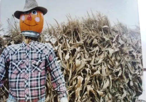 Tanners Orchard is home to the Best Cider Donuts in Illinois