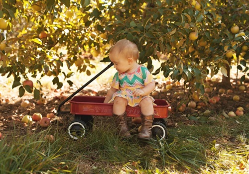 A toddler sits in a wagon in the midst of Tanners apple orchards. Tanners also offers Sunflower Fields in Illinois.